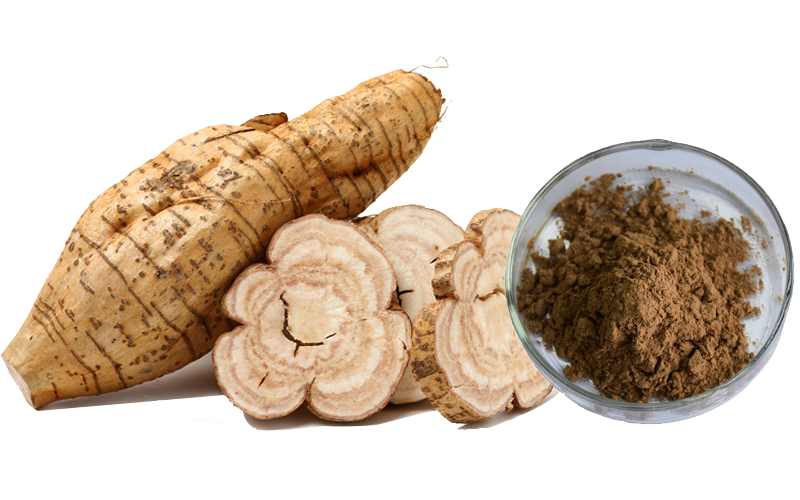 Kudzu Isoflavone