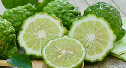 Citrus Aurantium Series