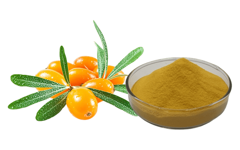 Sea Buckthorn Fruit Oil Powder
