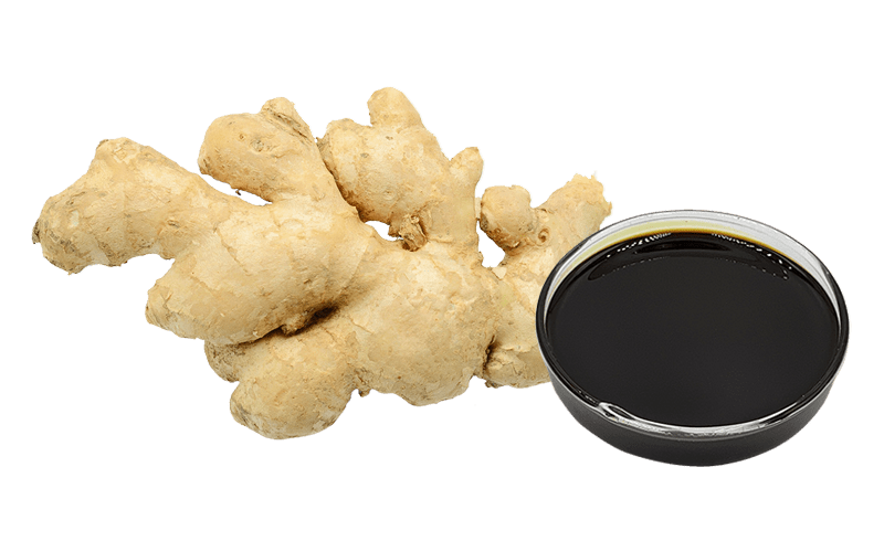 Ginger Oleoresin