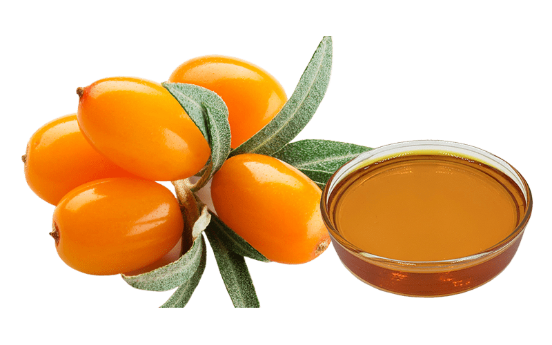Omega Oil