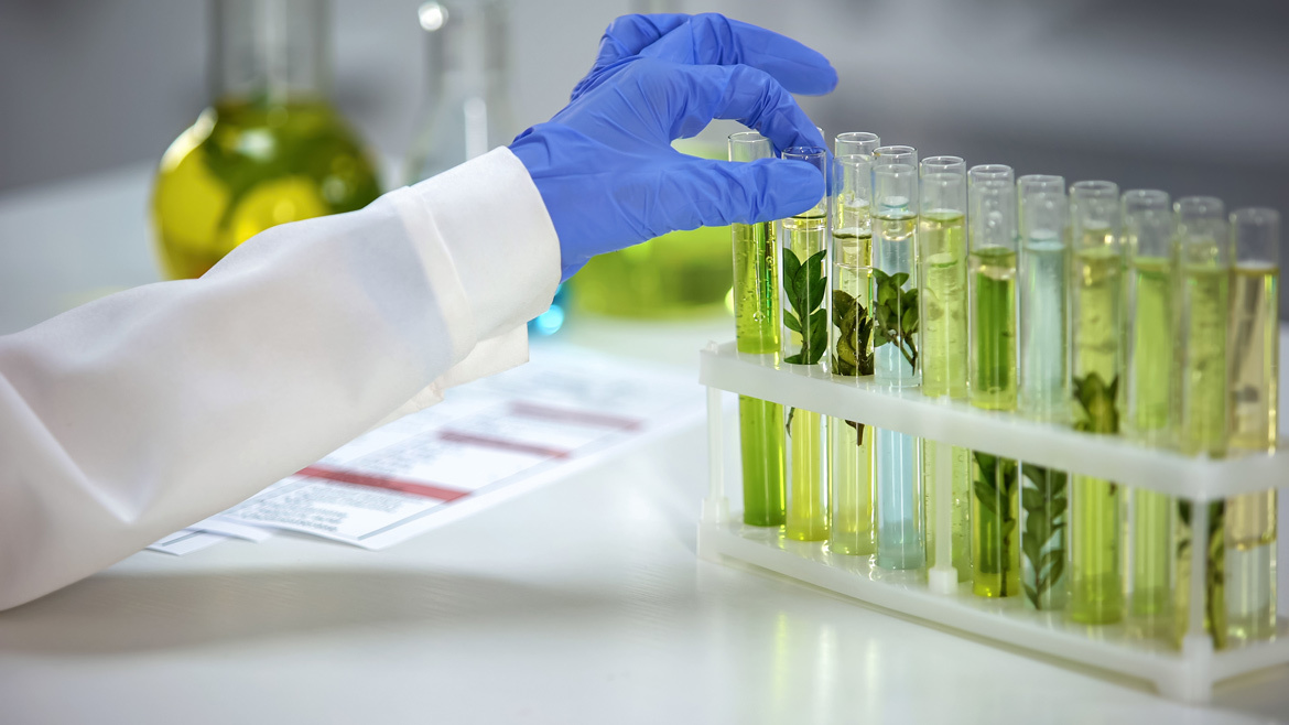 The green transformation of the plant extraction industry is accelerating, and derivative organisms have been awarded the title of "Low Carbon Production Demonstration Enterprise"