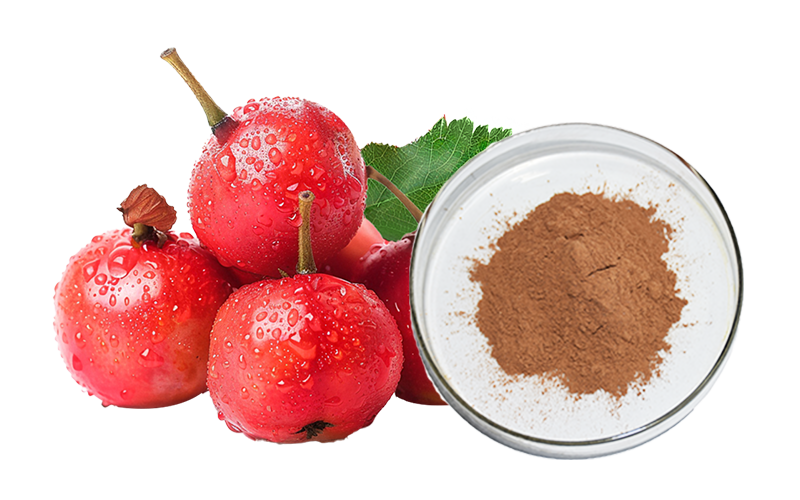 Hawthorn Total Flavone
