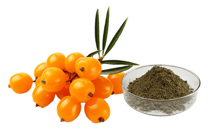 Seabuckthorn Flavone