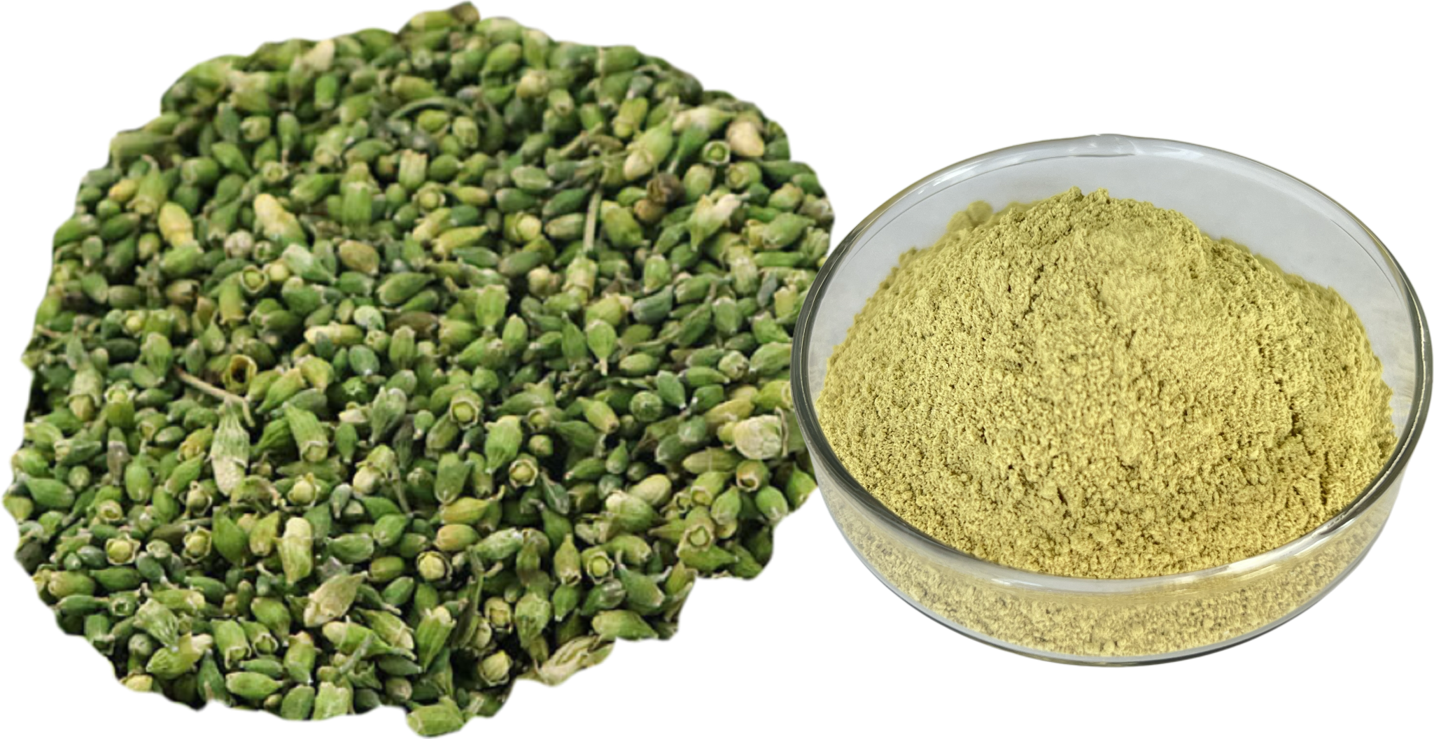 Luteolin