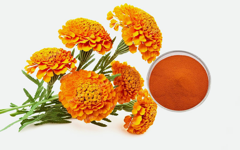 Marigold Series