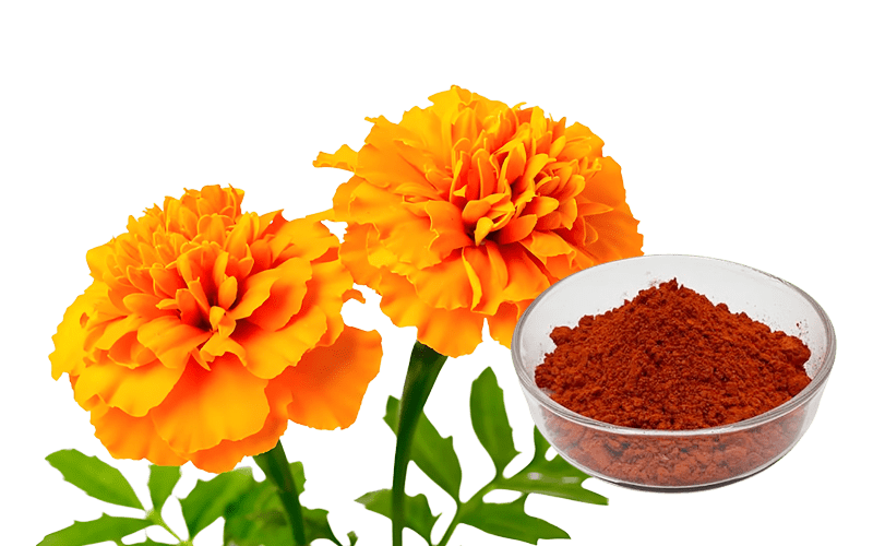 Zeaxanthin Powder