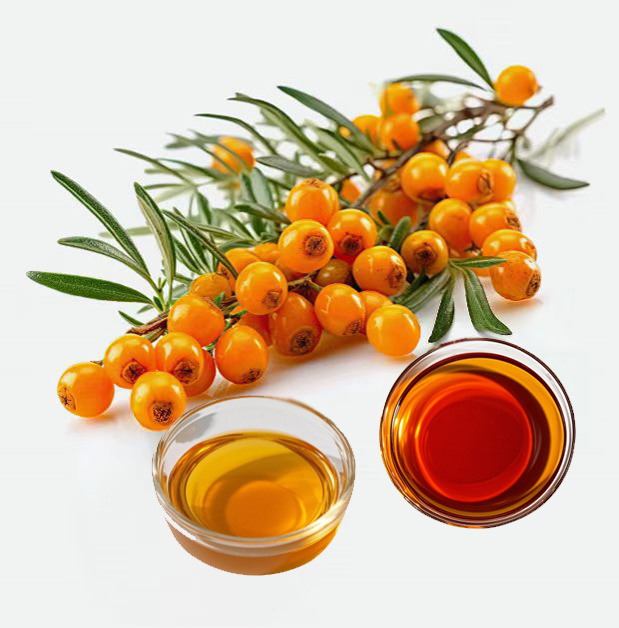 Sea Buckthorn Series