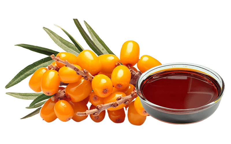 Sea Buckthorn Fruit Oil