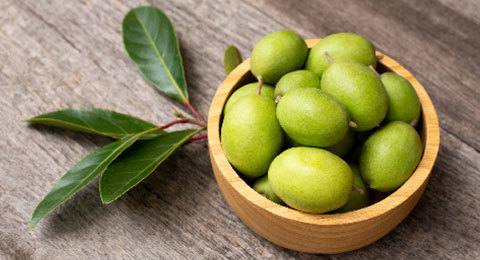 Olive Series