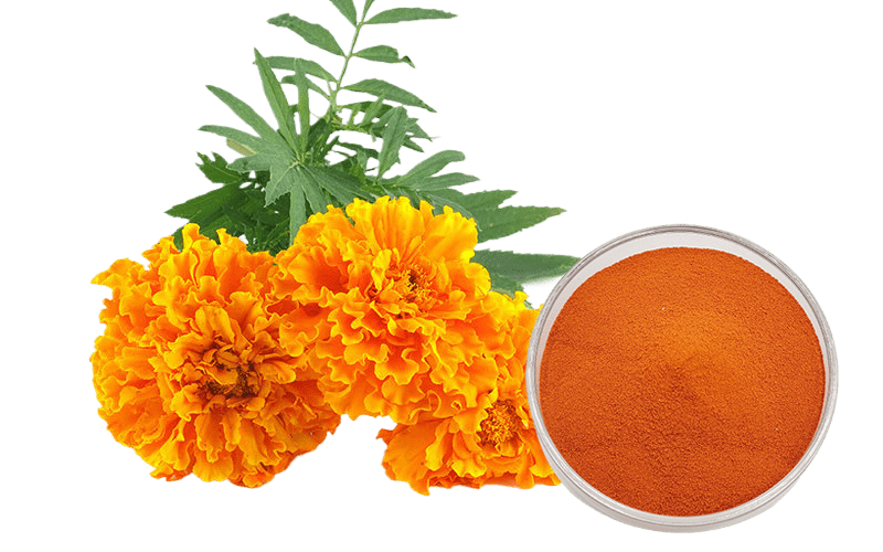 Lutein Powder