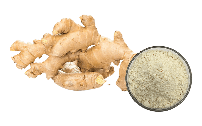 Ginger Extract