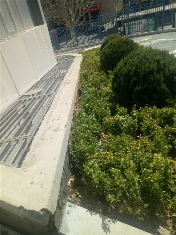 卉城大連市兒童醫(yī)院綠化