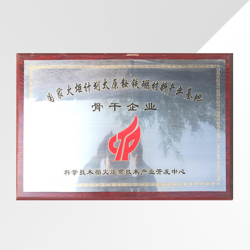 骨干企业