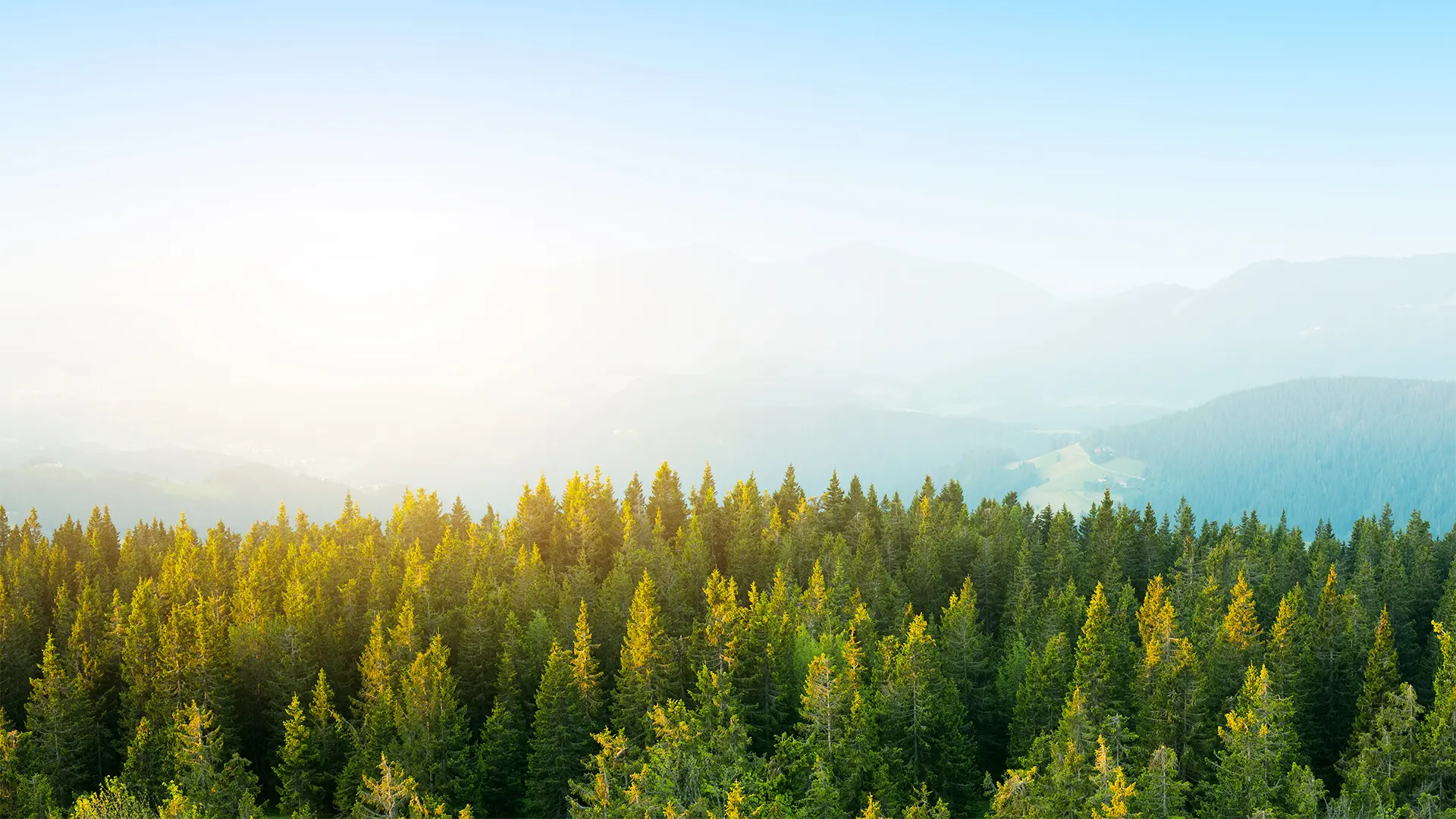 Power your Life with Clean, Efficient and Enduring Battery Technologies