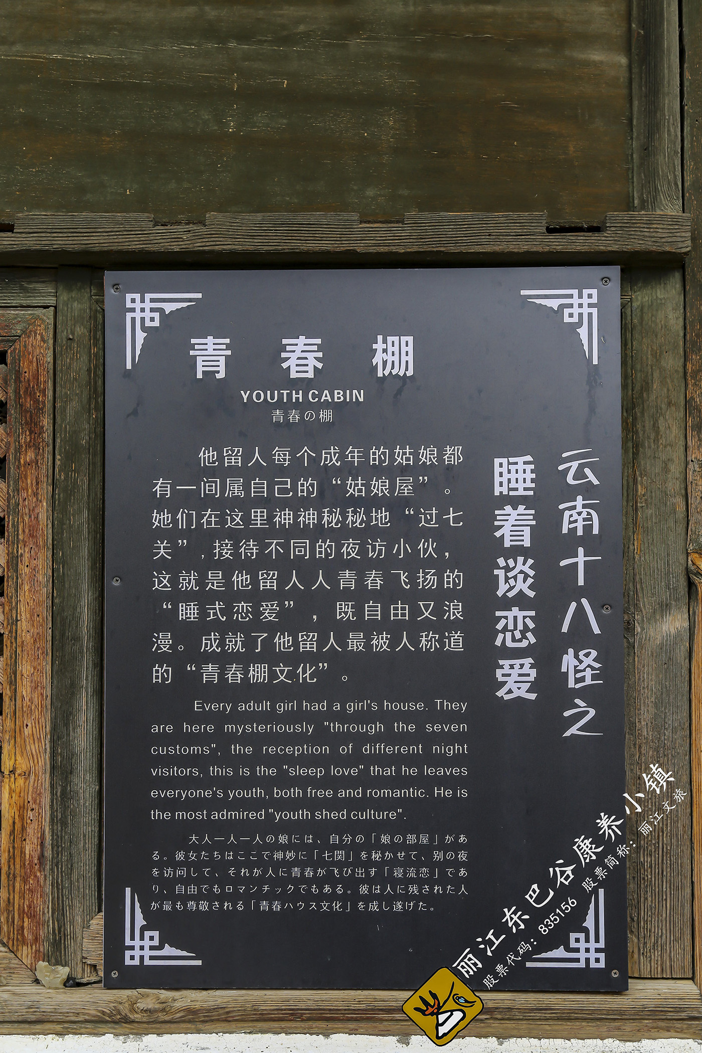 青春棚