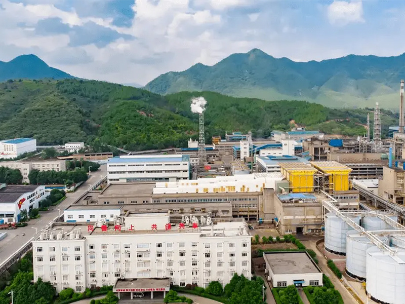 Shenzhen Zhongjin Lingnan Nonferrous Metal Co., Ltd. Danxia Smelting Factory