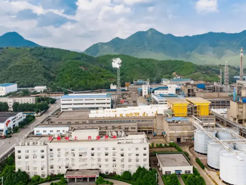 Shenzhen Zhongjin Lingnan Nonferrous Metal Co., Ltd. Danxia Smelting Factory