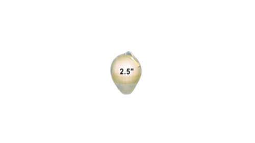 2.5"DISPLAY SHELL