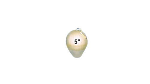 5"DISPLAY SHELL