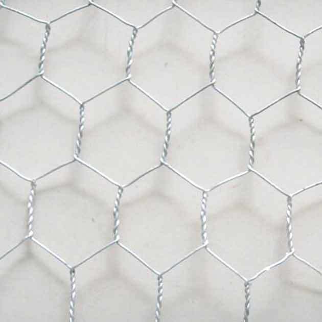 Hexagonal wire netting