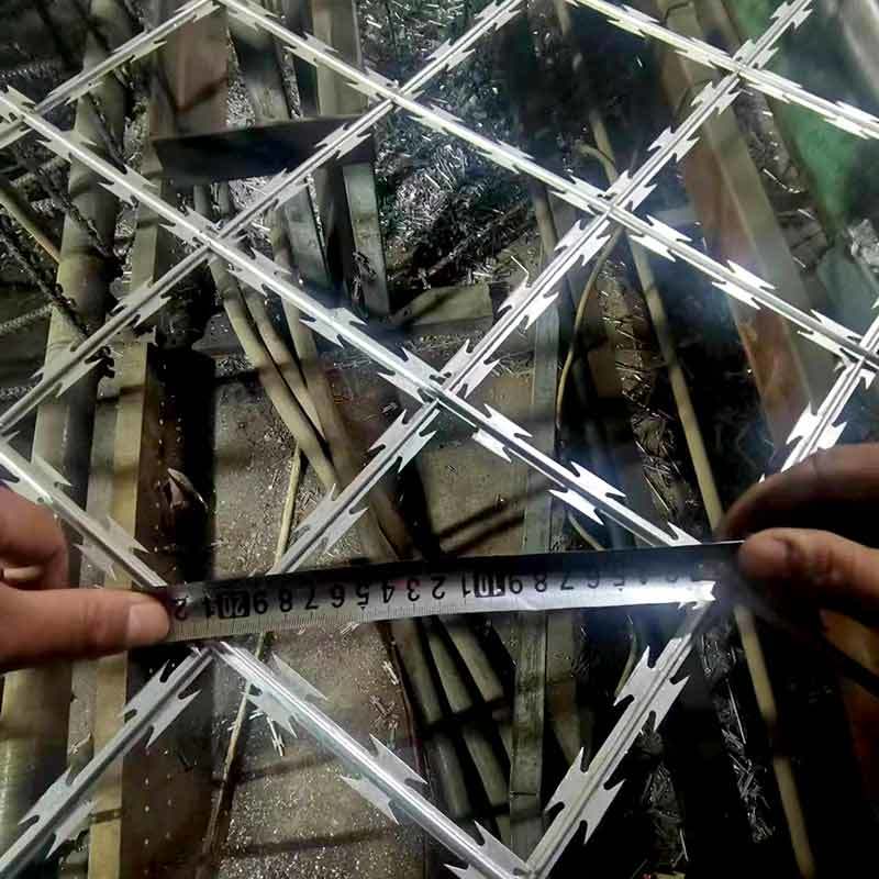 Razor Wire Fence