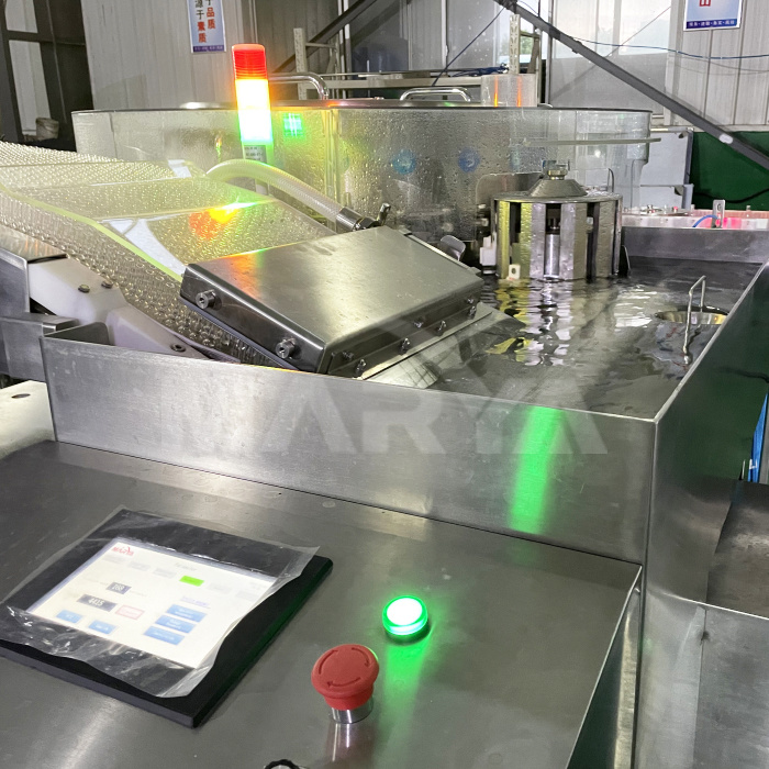 Proyecto de línea de producción de ampollas y viales en Argentina Proyecto de línea de producción de ampollas y viales en Argentina