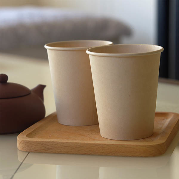Bamboo Paper Cup