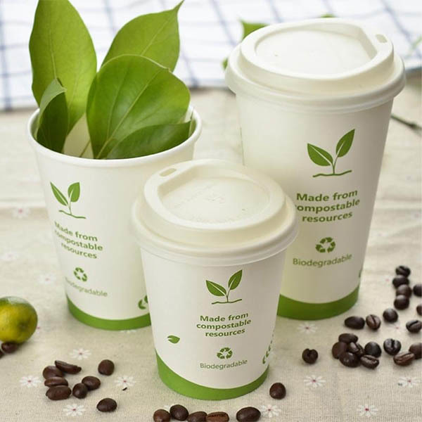 Biodegradable Paper Cup