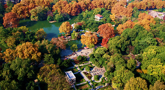 公園景觀