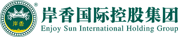 安徽岔R国际控股集团有限公司