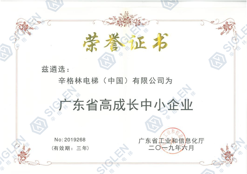 High growth SMEs in Guangdong Province