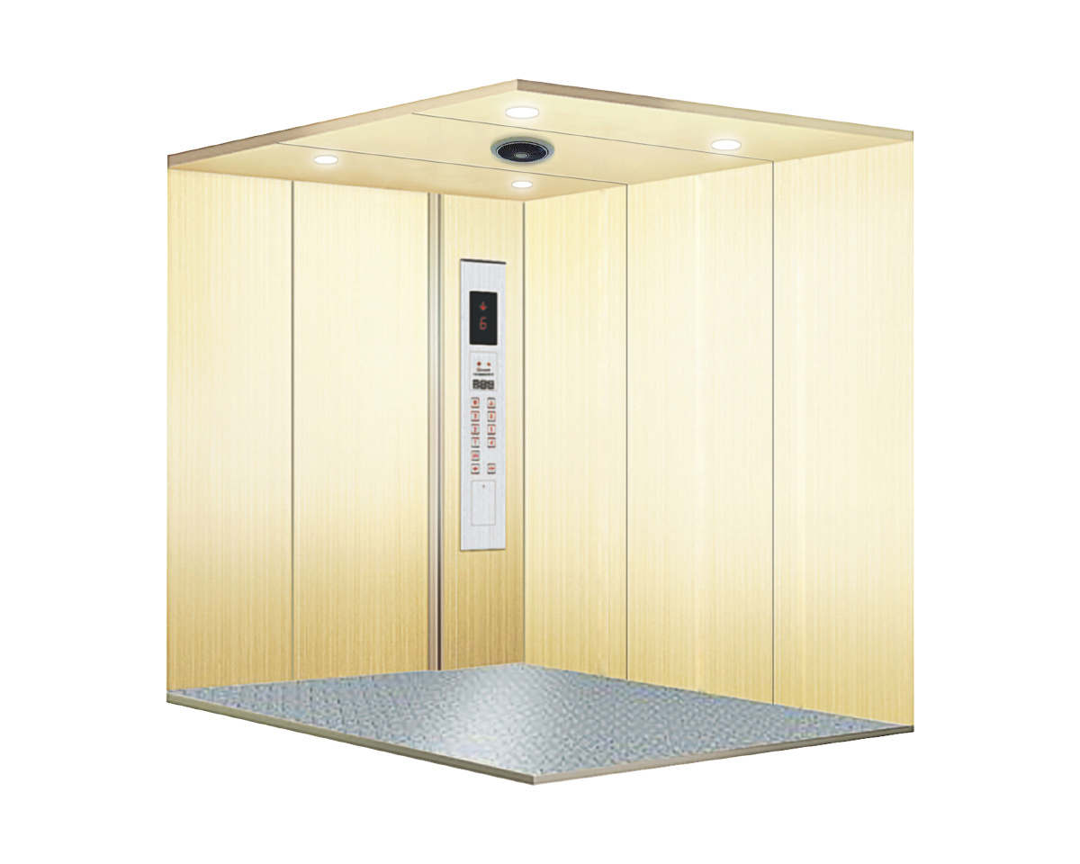 Cargo Elevator