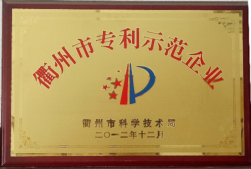 衢州专利示范企业