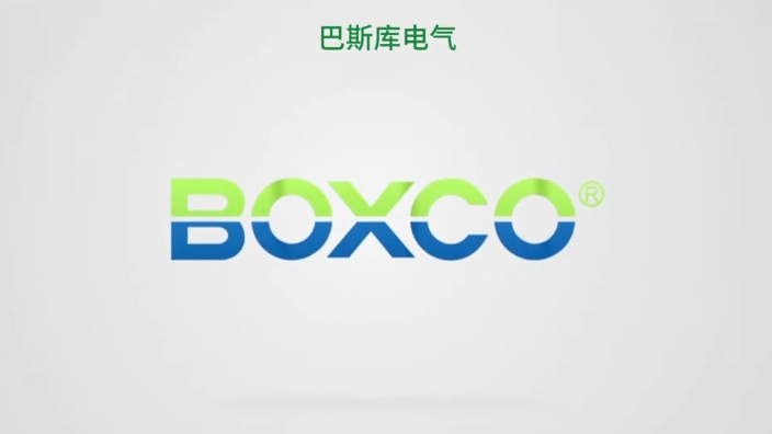 巴斯库电气