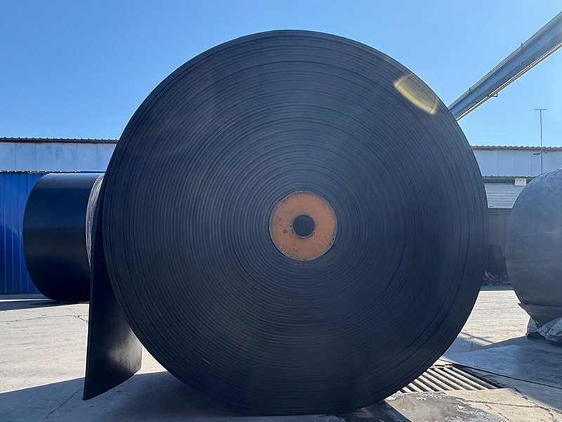 Cold-resistant conveyor belt