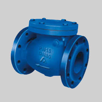 Check Valve