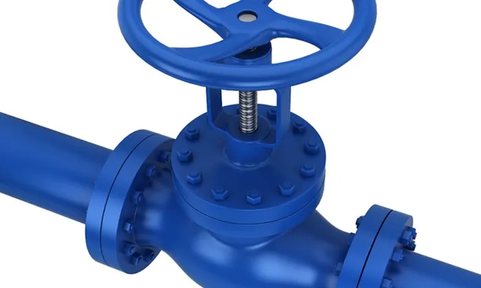 How do check valves work?