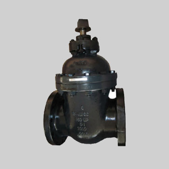 Gate Valve NRS M02-250S (MSS SP-70)