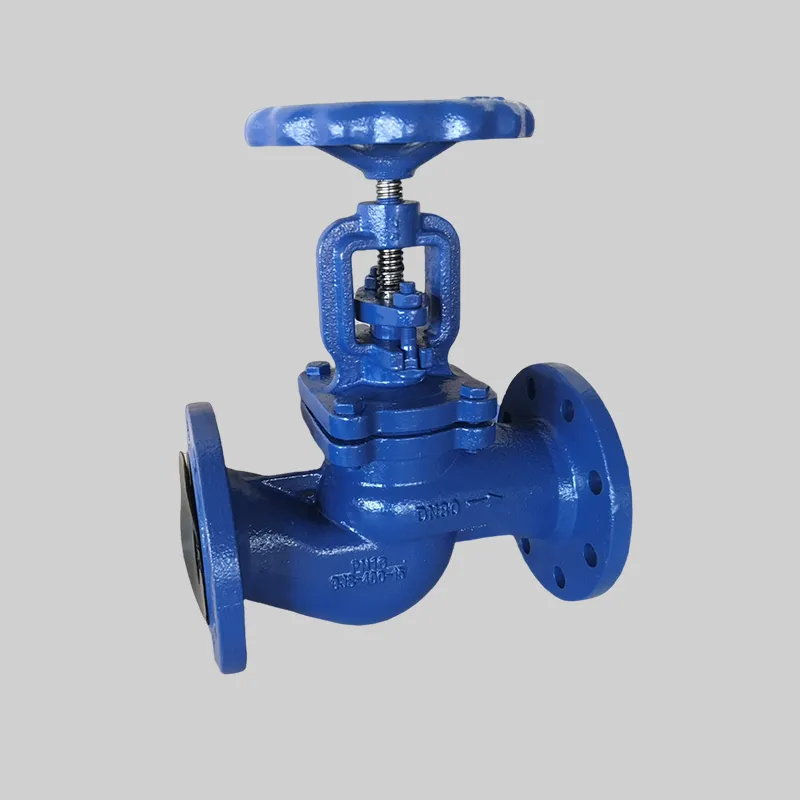 Globe Valve D04 SDNR (DIN 3356 / DIN EN 13789)