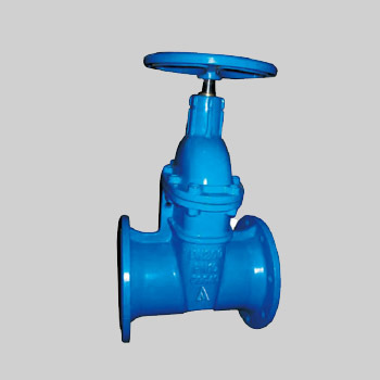 Gate Valve NRS D12(DIN 3352 F5)