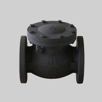 Swing Check Valve M03 (MSS SP-71)