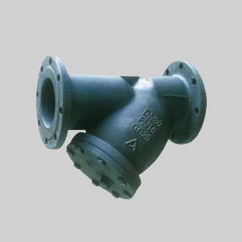 Y Strainer D21