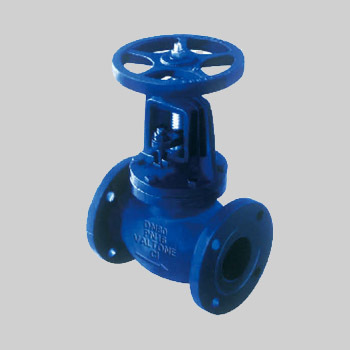 Globe Valve