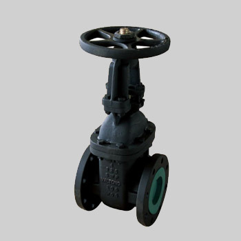 Gate Valve RS