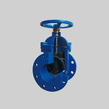 Gate Valve NRS E12 (BS 5163)