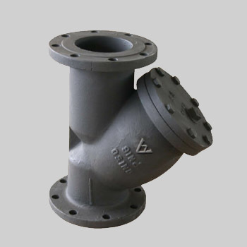 Y Strainer E21