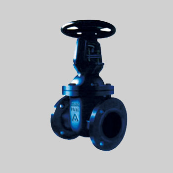 Gate Valve RS E01 (BS 5150/5163)
