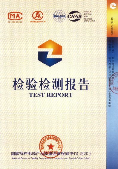 檢驗報告
