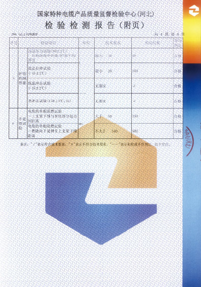 檢驗報告